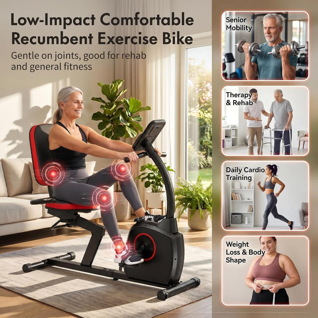 Recumbent Exercise Bike for Seniors Home Use